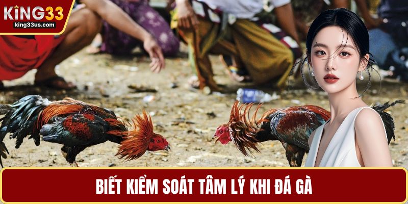 Biết kiểm soát tâm lý khi đá gà 