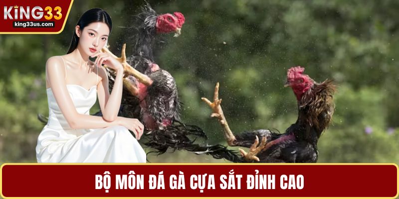 Bộ môn đá gà cựa sắt đỉnh cao
