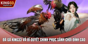 Đá gà KING33
