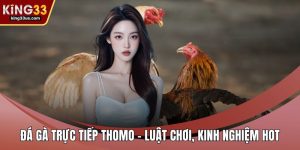 Đá gà trực tiếp thomo