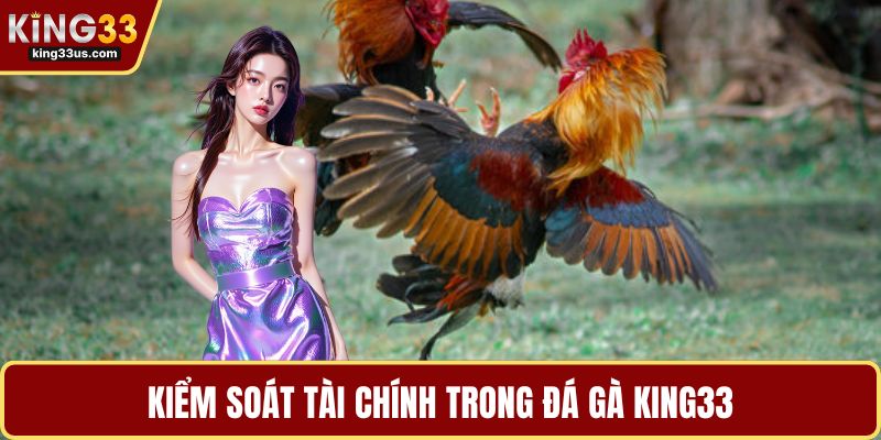 Kiểm soát tài chính trong đá gà KING33