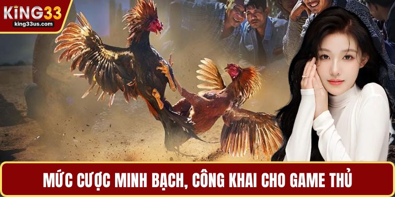 Mức cược minh bạch, công khai cho game thủ