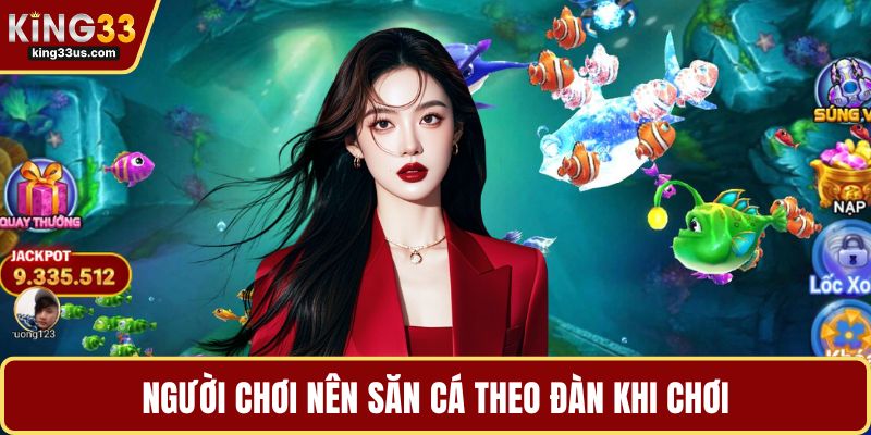 Người chơi nên săn cá theo đàn khi chơi