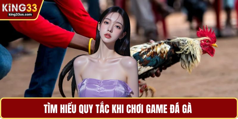 Tìm hiểu quy tắc khi chơi game đá gà 
